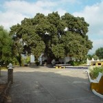 exterior2