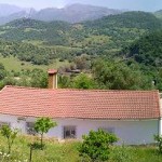 panexterior