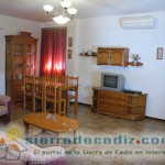 salon1