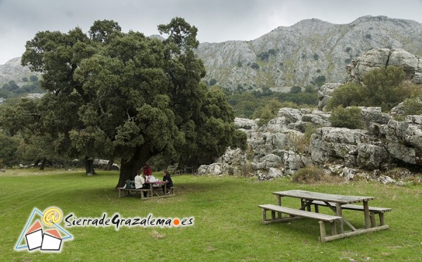 Área de recreo en los Llanos de Líbar