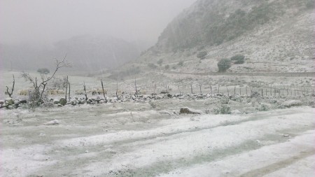 Nieve a las afueras de Villaluenga del Rosario (Foto: Ayuntamiento).