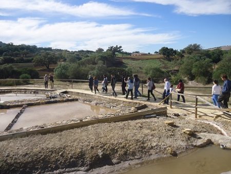 Visita guiada a las Salinas de Hortales.