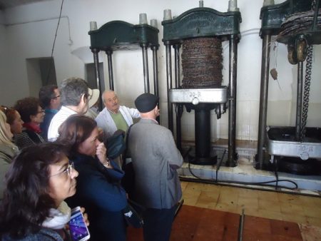 Visita guiada al molino de aceite El Callejón.