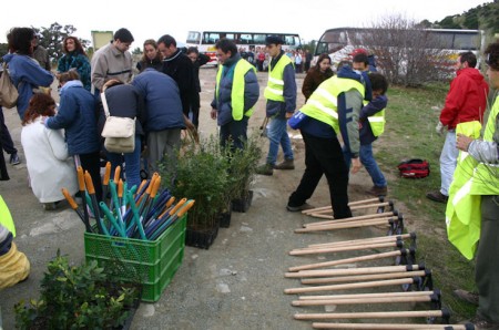 Preparación de plantaciones para Monte Prieto.