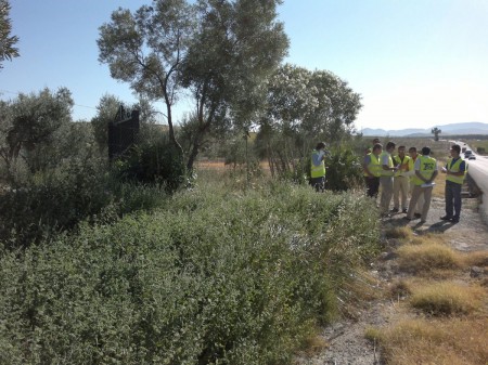 Cruce del polígono de Cantarranas en Bornos.