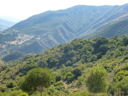 Monte Prieto.