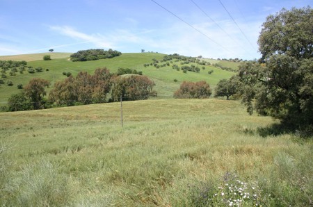 Los Castillejos, la zona donde se pretende construir un campo de golf y una urbanización.