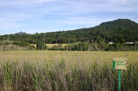 Terrenos de El Cruce, en el Parque Natural Los Alcornocales, que el PGOU declara urbanizables.