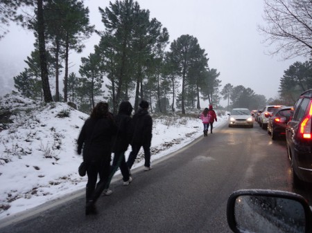 Nevada en el tramo entre Grazalema y el puerto del Boyar el 28 de febrero de 2013.