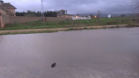 Inundación en El Santiscal de Arcos.