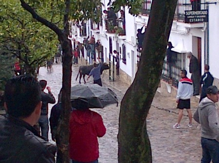 Suelta de toro del Domingo de Resurrección de Benamahoma.