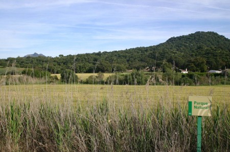 Zona del Parque Natural Los Alcornocales que se pretendía recalificar.