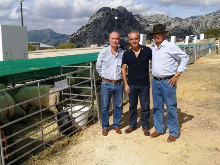 Manuel Cabrera, Alfonso Moscoso y Cristóbal Yuste, en la II Feria Gandera de Benaocaz.