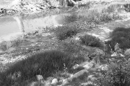 Río Guadalete a su paso por Arcos.