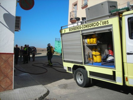 Los bomberos participantes en la extinción.