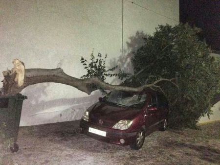 Árbol caído sobre un vehículo en Grazalema.