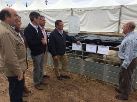 Representantes políticos y del sector pecuario, en la III Feria Ganadera de Benaocaz.