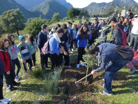 Plantación de encinas en Monte Prieto por un grupo de alumnos del IES Santo Domingo de El Puerto de Santa María.