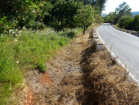 Efecto del glifosato sobre la vegetación, con el aumento del riesgo de incendios al secarse antes la hierba y las ramas de los arbustos. Carretetra El Bosque-Benamahoma.