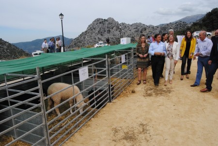 La Feria Ganaera, del 9 al 12 de octubre.