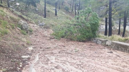 Carretera cortada por desprendimientos.