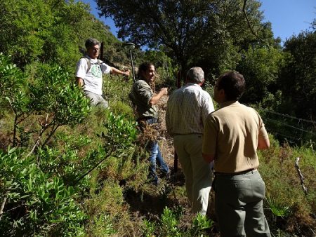 Ppunto en el que el camino estaba cerrado por una alambrada a la entrada de la finca el Valdihuelo.