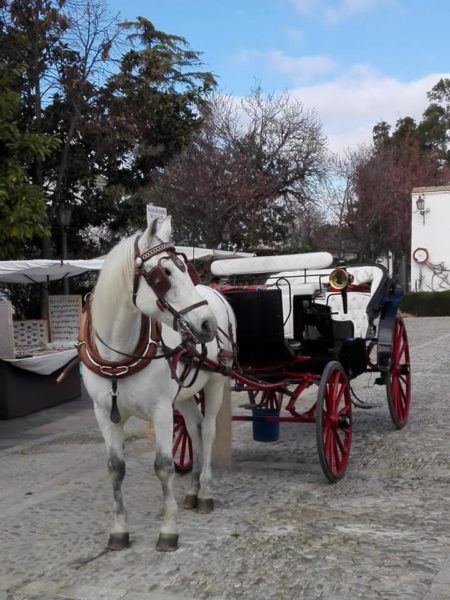 He experimentado nuevas perspectivas al atravesar en coche de caballos el Puente Nuevo.