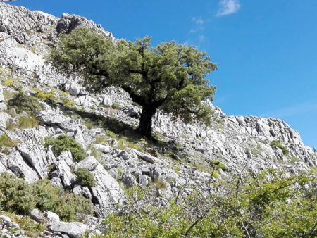 Paisaje de la subida al Cao. Foto: Pedro Bohórquez Gutiérrez.