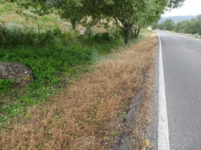 La Junta fumiga el Parque Natural Sierra de Grazalema con un herbicida potencialmente cancerígeno, según Ecologistas en Acción