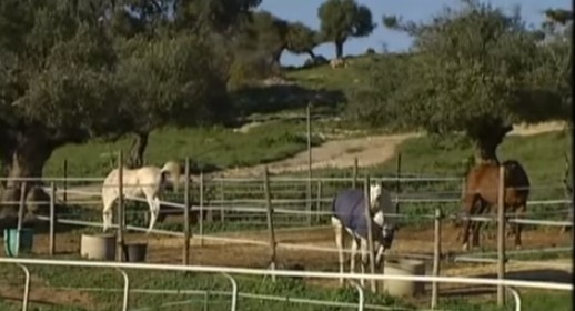 Firmado el acuerdo de cesión de la finca El Imperio por el Ayuntamiento de El Bosque a la Diputación