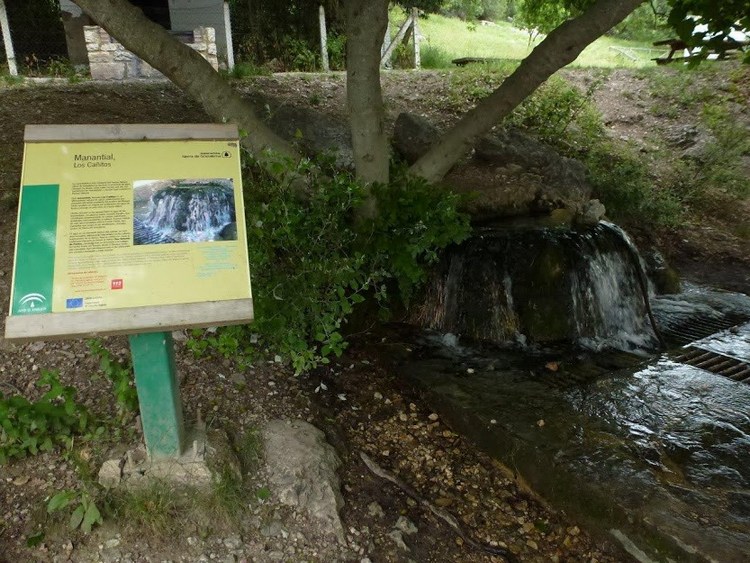 Las aguas subterráneas del Parque Natural Sierra de Grazalema están contaminadas por glifosato, según Ecologistas en Acción