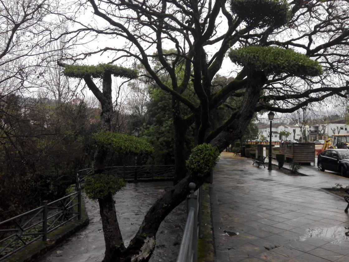 Un paseo urbano por el río El Bosque