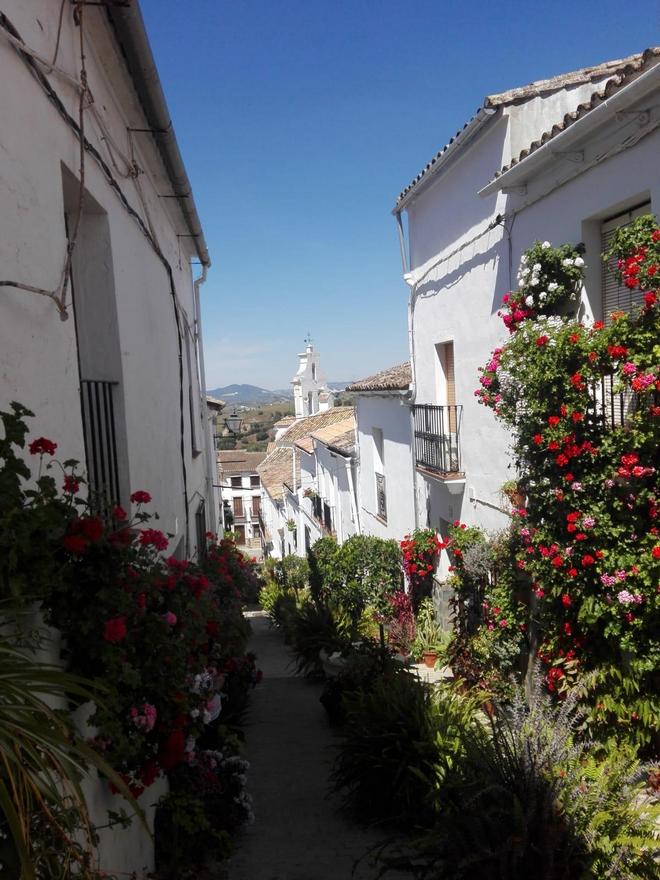 El Gastor, un modelo de conservación para otros pueblos de la Sierra