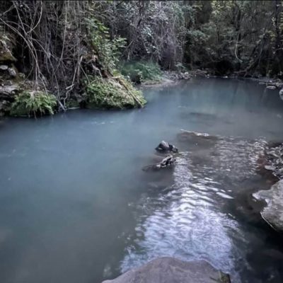Ecologistas en Acción piden que se investiguen los vertidos al río Majaceite en Benamahoma
