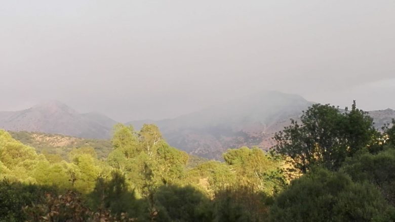 Reflexiones ante el incendio en Sierra Bermeja