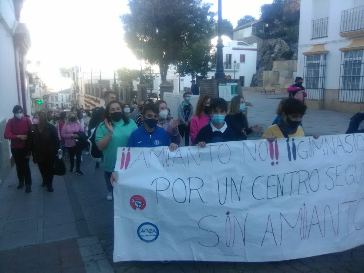 La manifestación, a su paso por la calle Llana de Olvera.