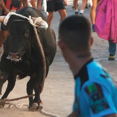 El Partido Animalista considera cruel la fiesta del toro enmaromado de Benaocaz