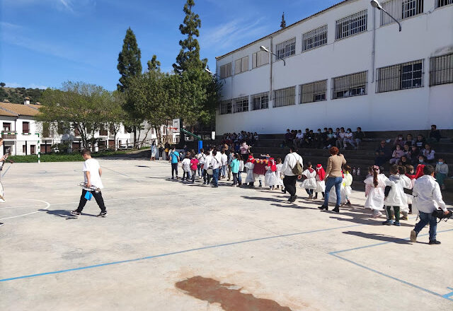 El PSOE exige a la Junta que mejore la cubierta del colegio Albarracín de El Bosque
