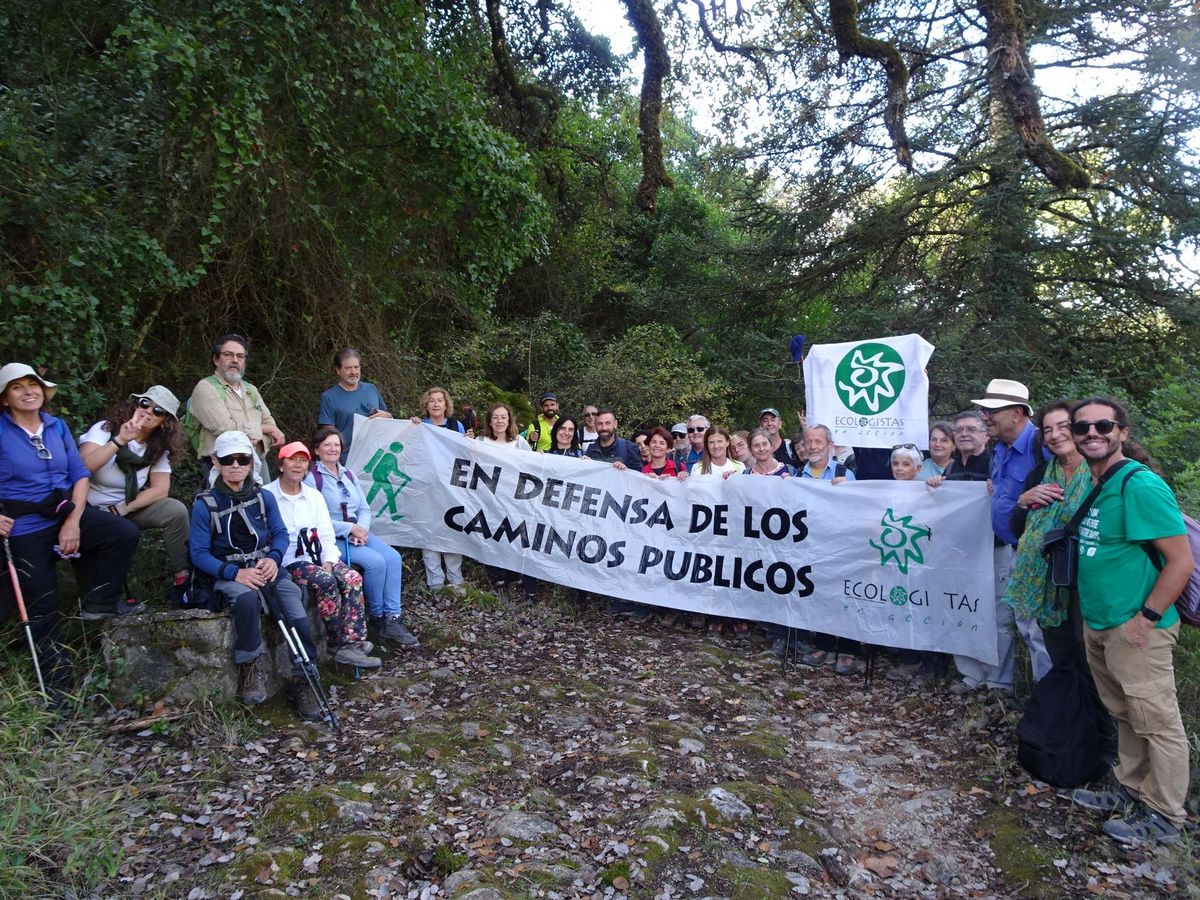 Tramo del camino que conserva su empedrado original