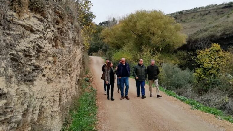 Mejora en vías pecuarias entre Setenil y Alcalá del Valle