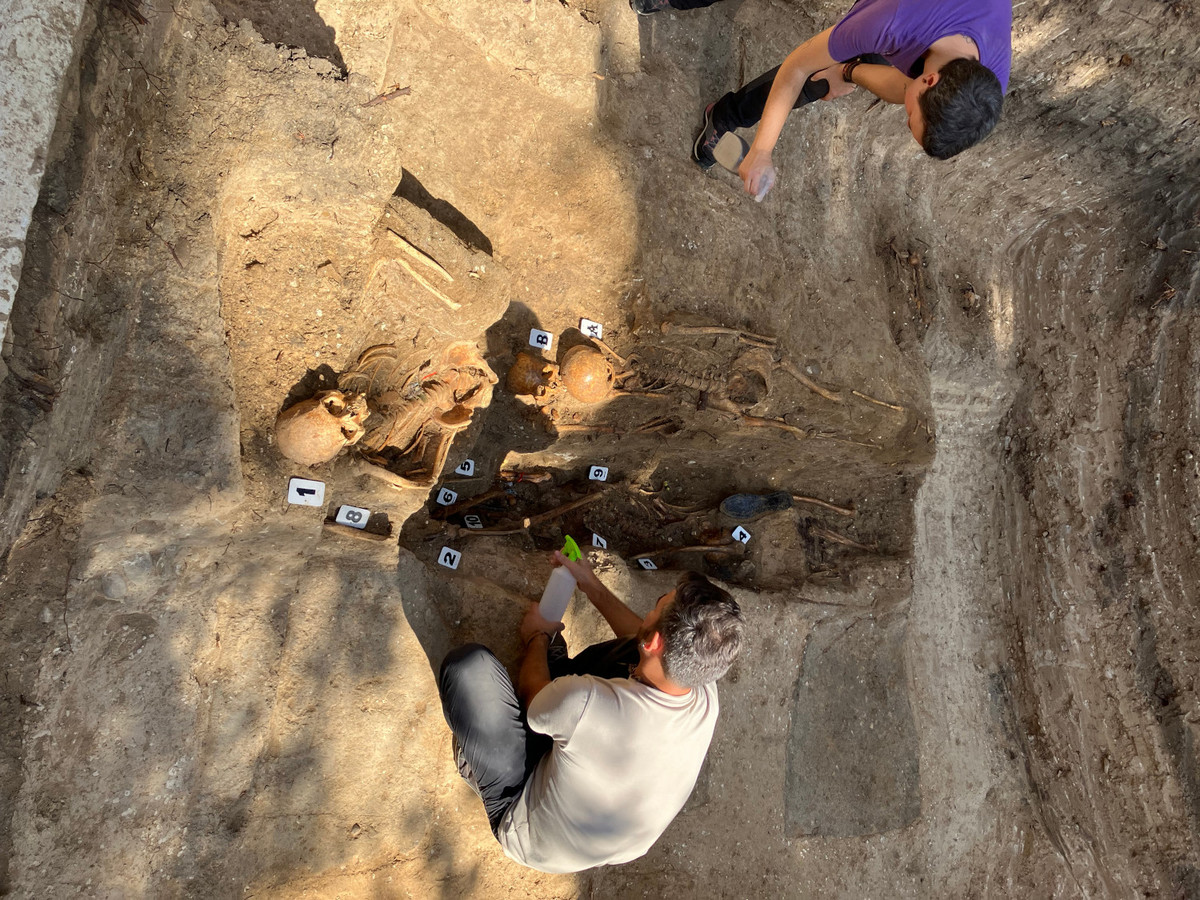 Trabajos de exhumación en una fosa de Villamartín.