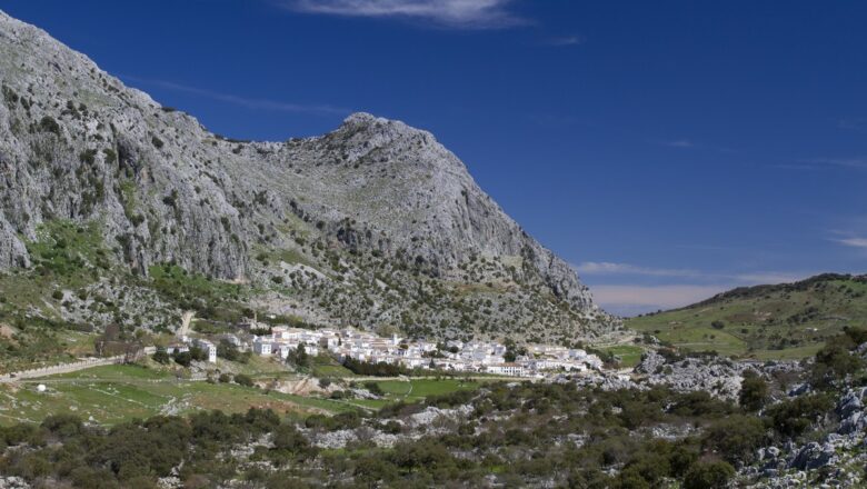 Leña gratis a los vecinos de Villaluenga, ofrecida por el Ayuntamiento