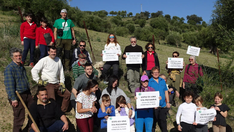 Repoblación en el cordel de Zahara en El Bosque