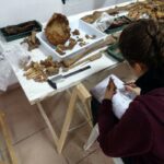 Balance provisional de la exhumación de fosas de Villamartín: recuperados los restos de 45 represaliados