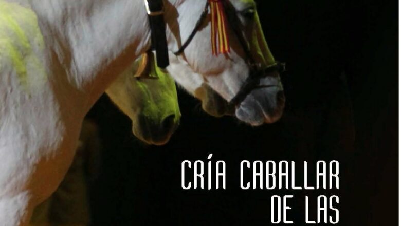 Exposición sobre cría caballar de las fuerzas armadas en Bornos