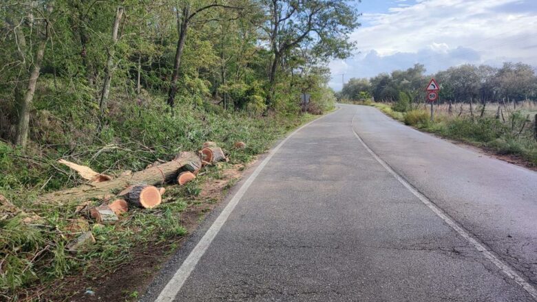 Carreteras de la Sierra de Cádiz, afectadas por el temporal