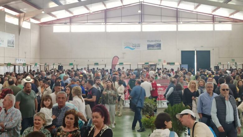 Satisfacción en Villaluenga por el aumento de la afluencia a la Feria del Queso