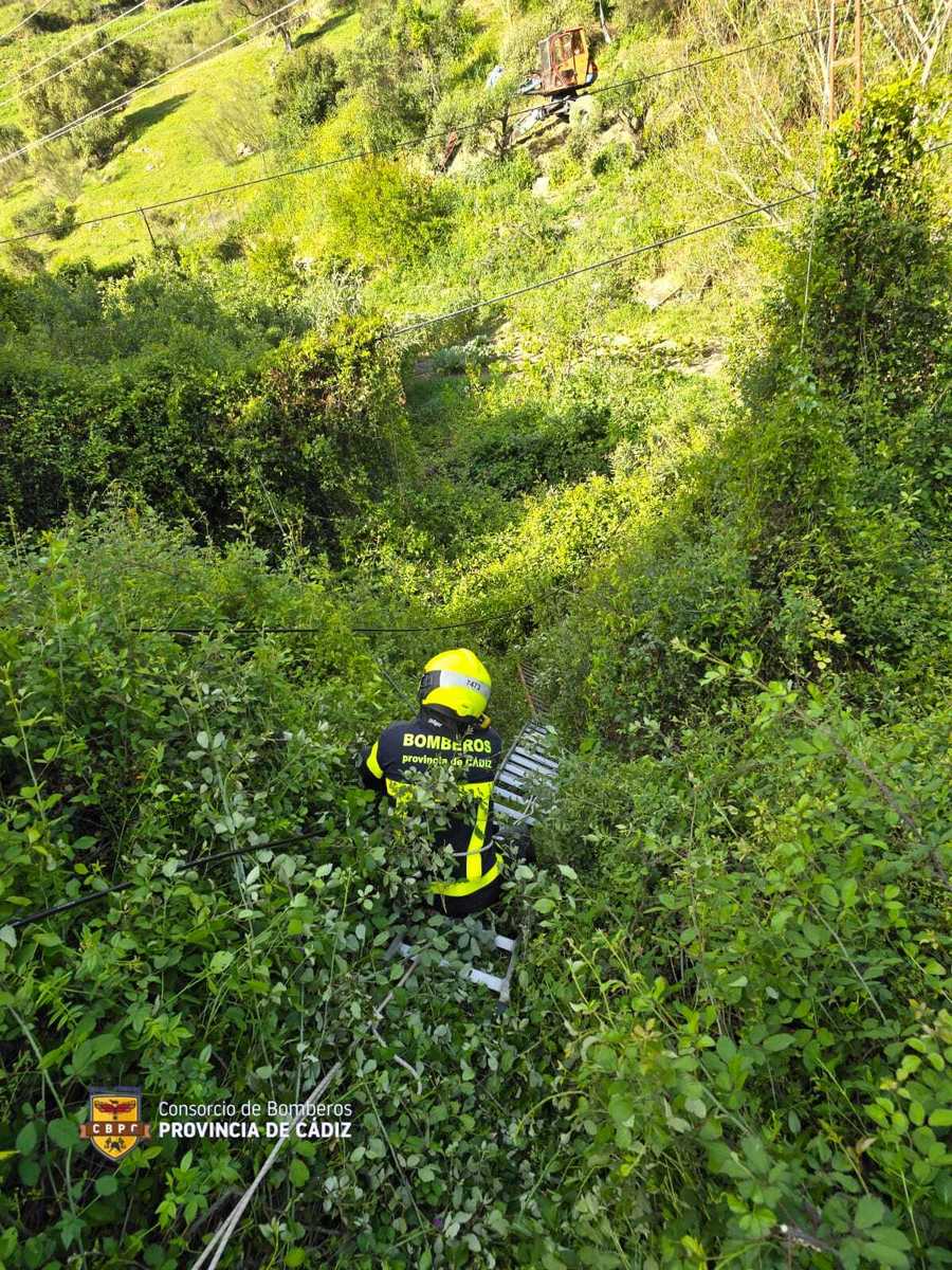 Restablecido el servicio de telefonía e internet, tras recuperar los bomberos el cable caído