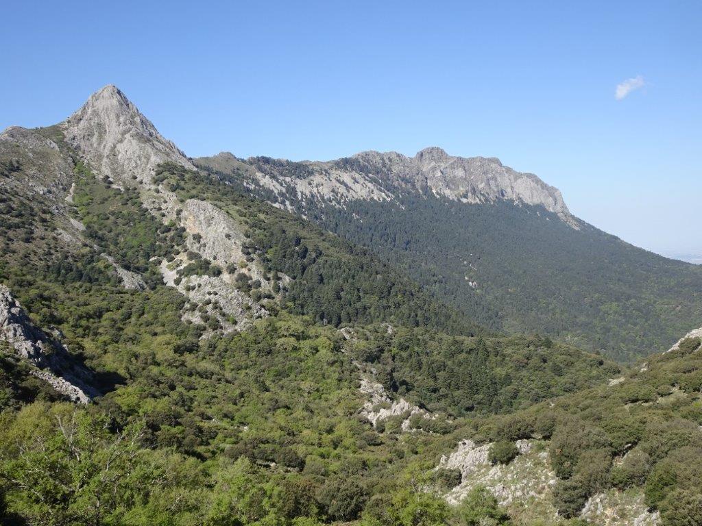 Ecologistas denuncian falta de vigilancia en espacios naturales de la Sierra y destrucción de empleo