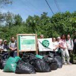 Ecologistas en Acción retira una planta invasora en el río Majaceite